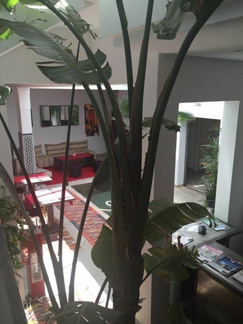 Riad Le Patio Romantique Марракеш Экстерьер фото
